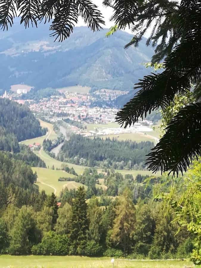 Apartamento Rainerhof Murau Exterior foto